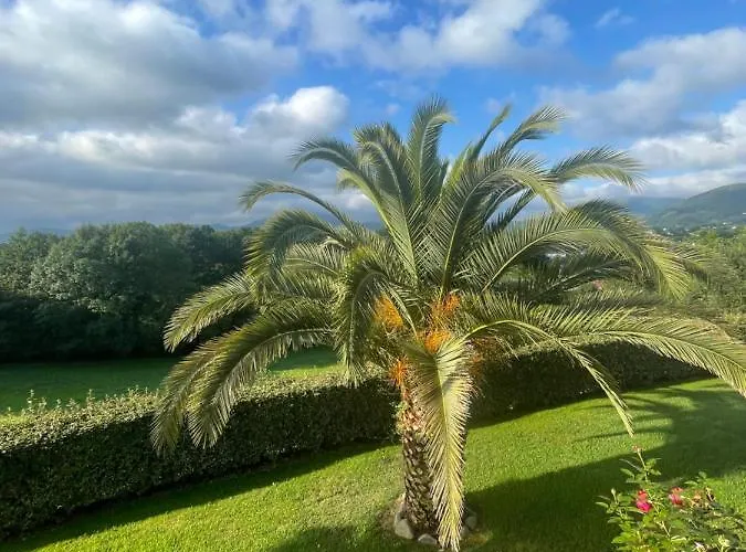 Vue Sur La Rhune * Sare